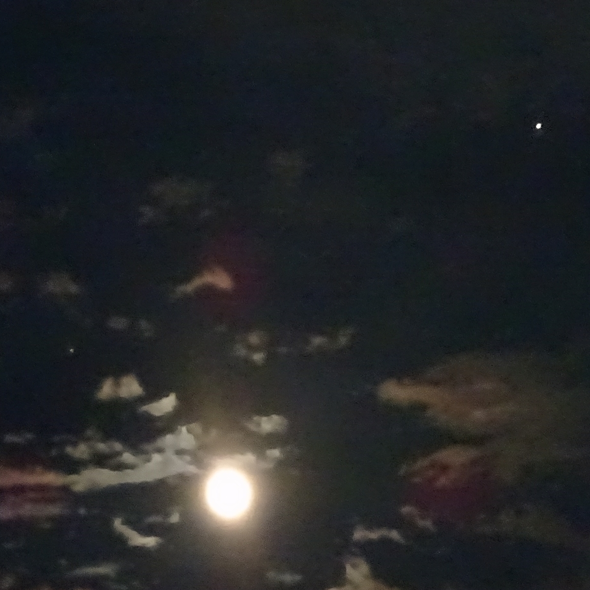 f:id:S_a_k_U:20210512074844j:plain:w300