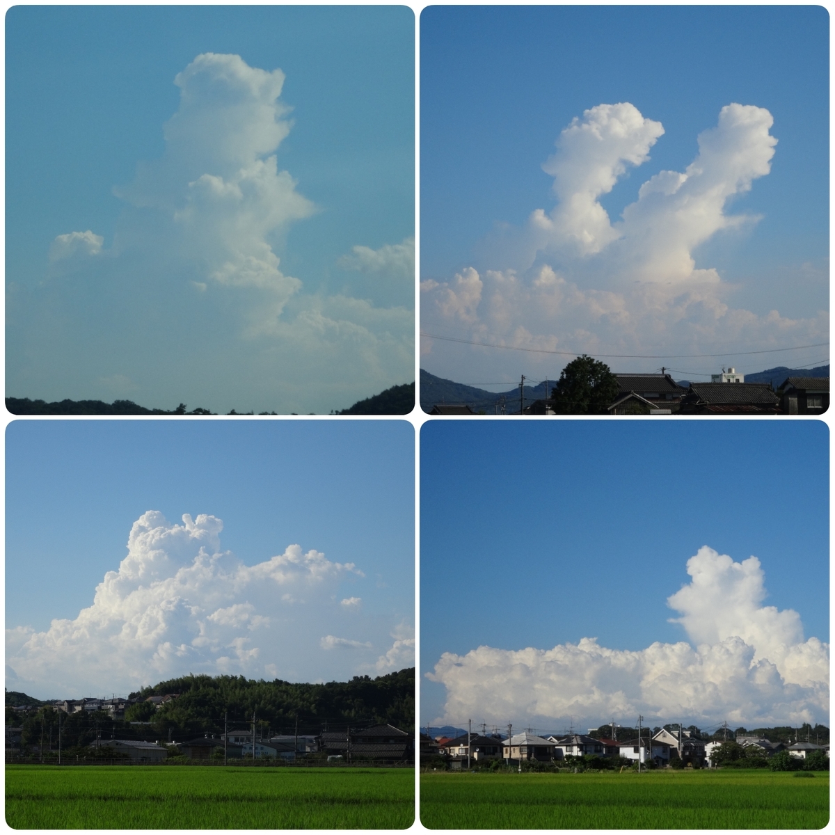 f:id:S_a_k_U:20210512083704j:plain:w300