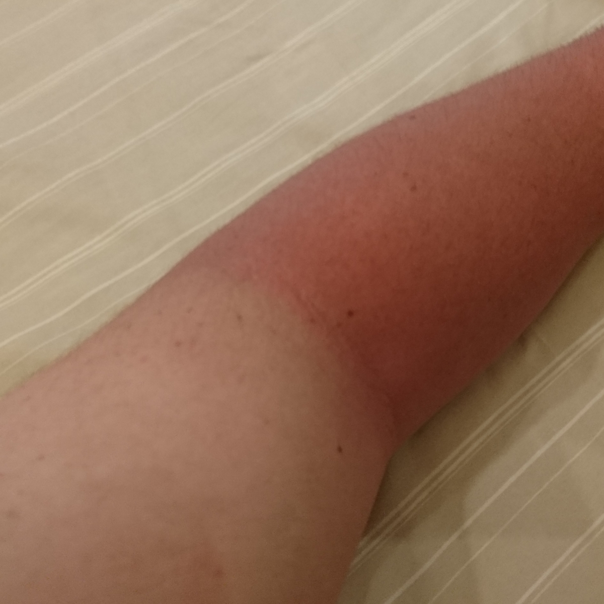 f:id:S_a_k_U:20210512083711j:plain:w300