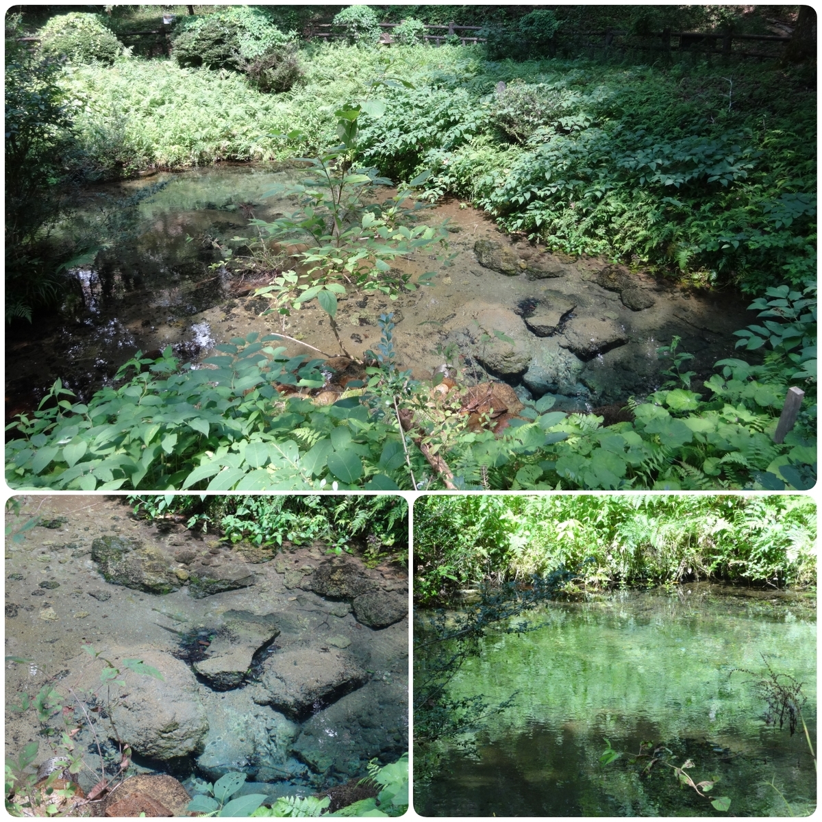 f:id:S_a_k_U:20210512083724j:plain:w300