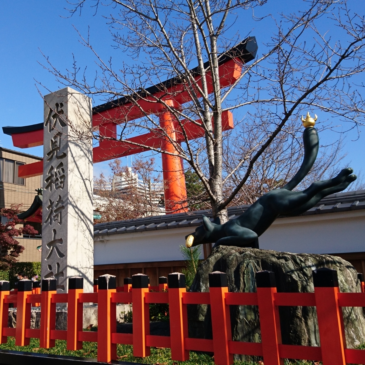 f:id:S_a_k_U:20210608082803j:plain:w300