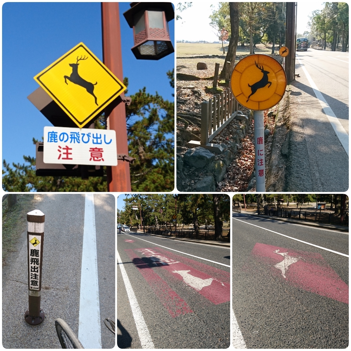 f:id:S_a_k_U:20210608084019j:plain:w300