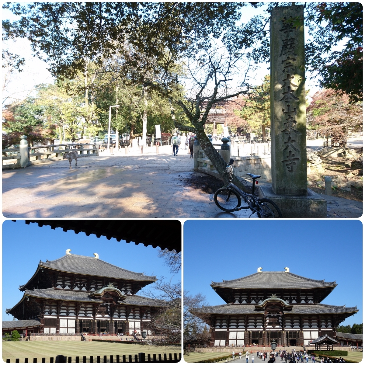 f:id:S_a_k_U:20210608084033j:plain:w300