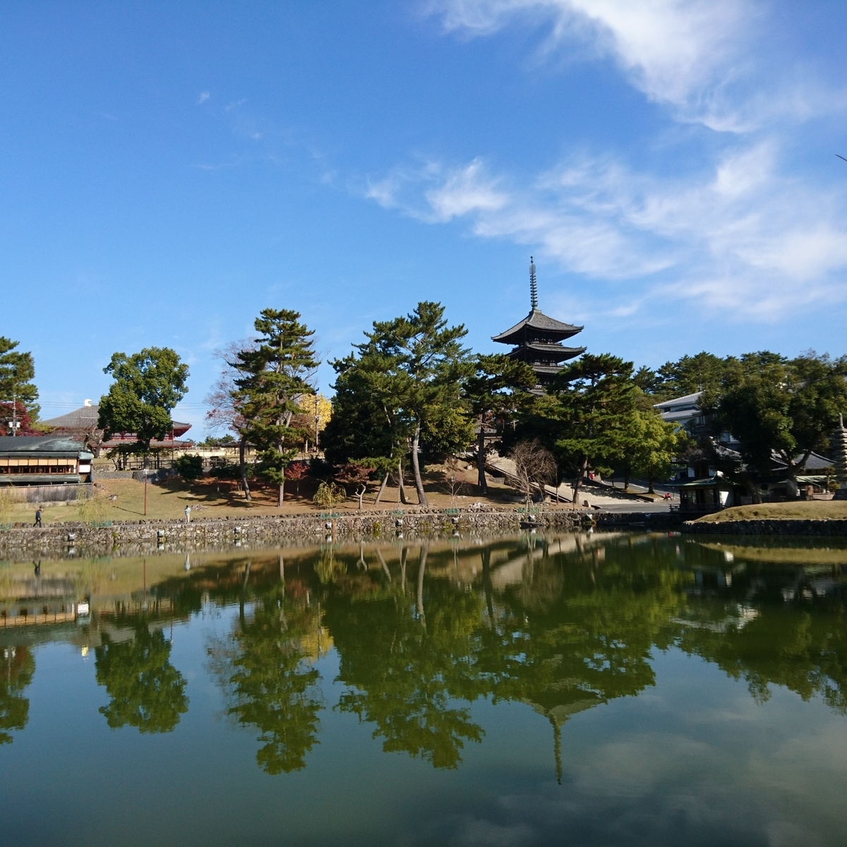 f:id:S_a_k_U:20210608084122j:plain:w300