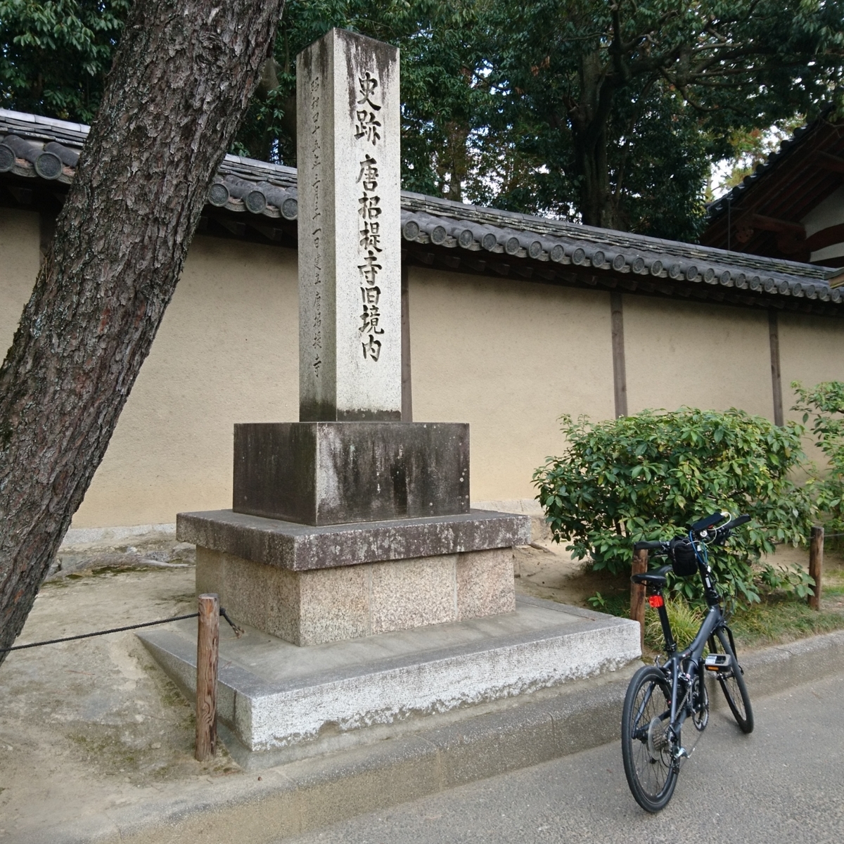 f:id:S_a_k_U:20210608084331j:plain:w300