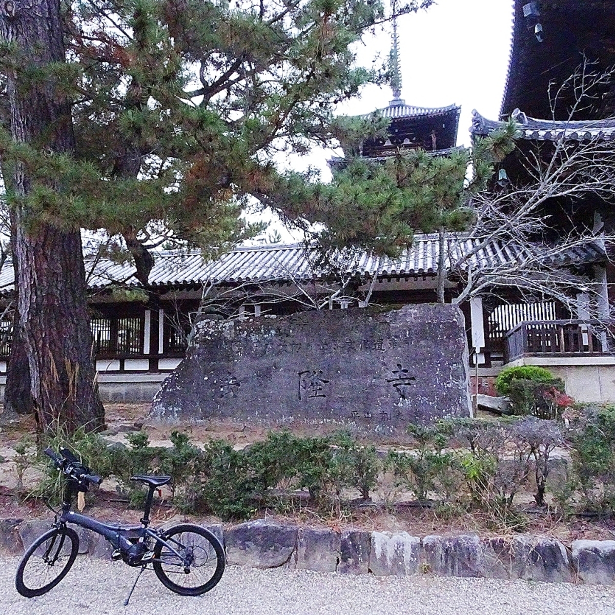 f:id:S_a_k_U:20210608084358j:plain:w300