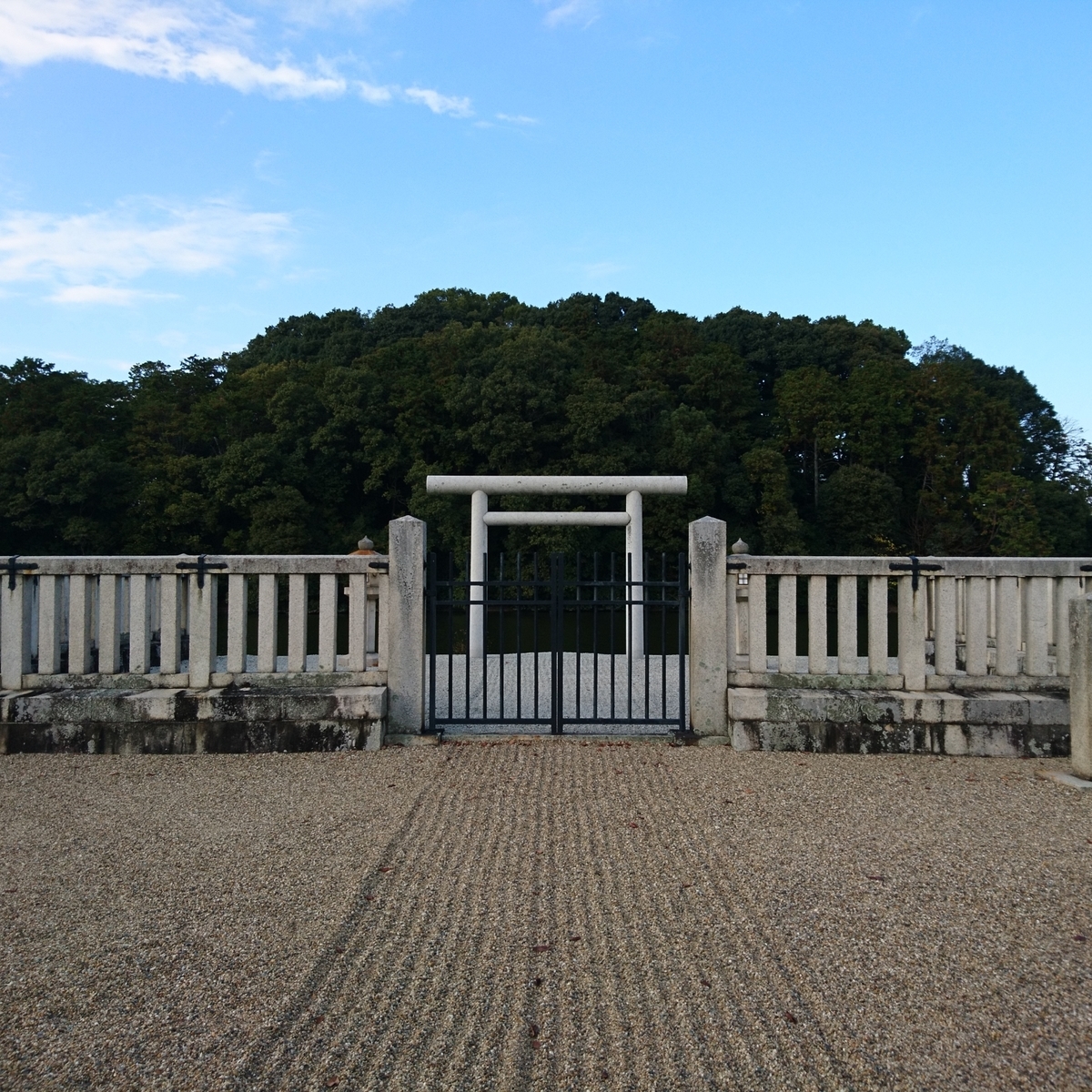 f:id:S_a_k_U:20210608084405j:plain:w300