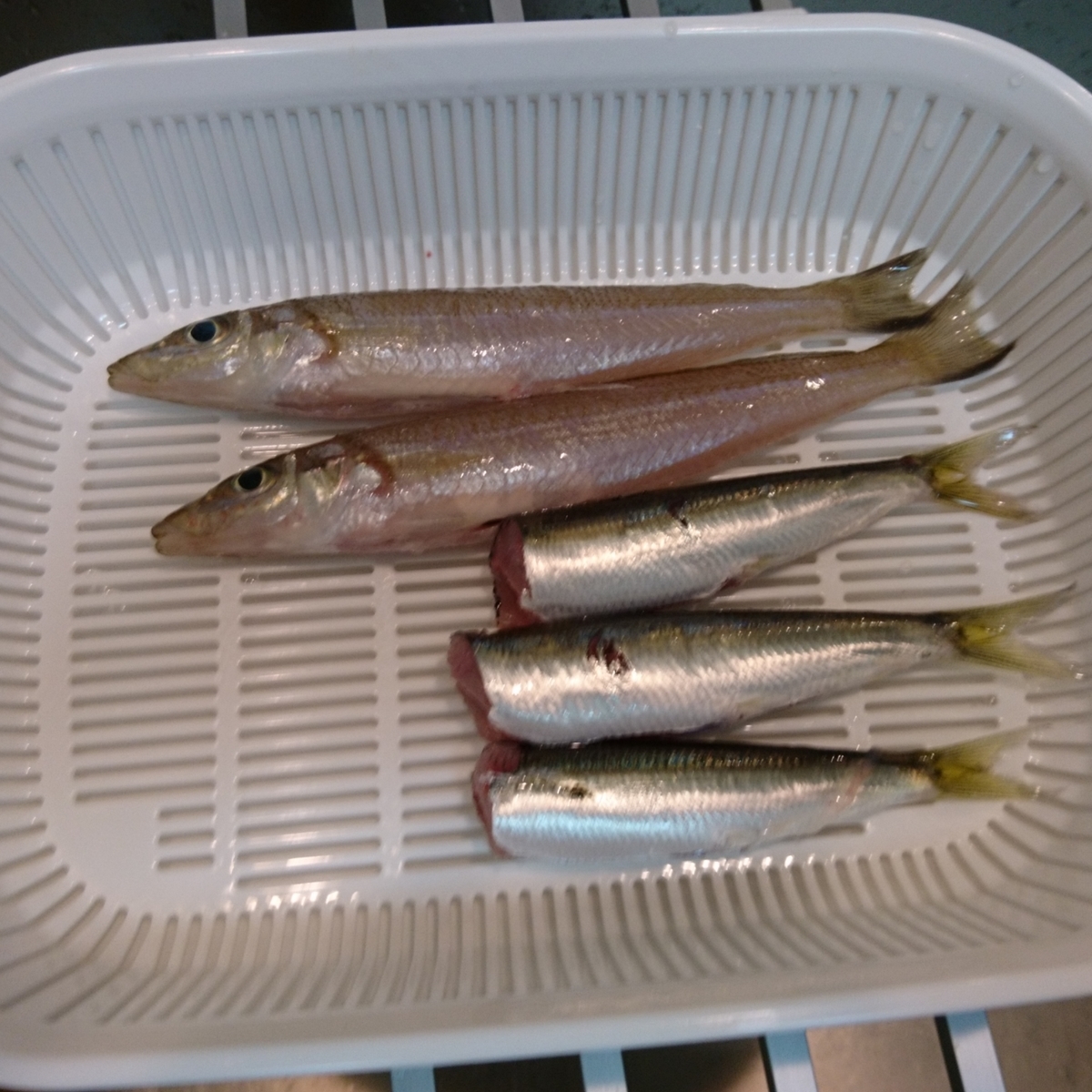 f:id:S_a_k_U:20210611095534j:plain:w300