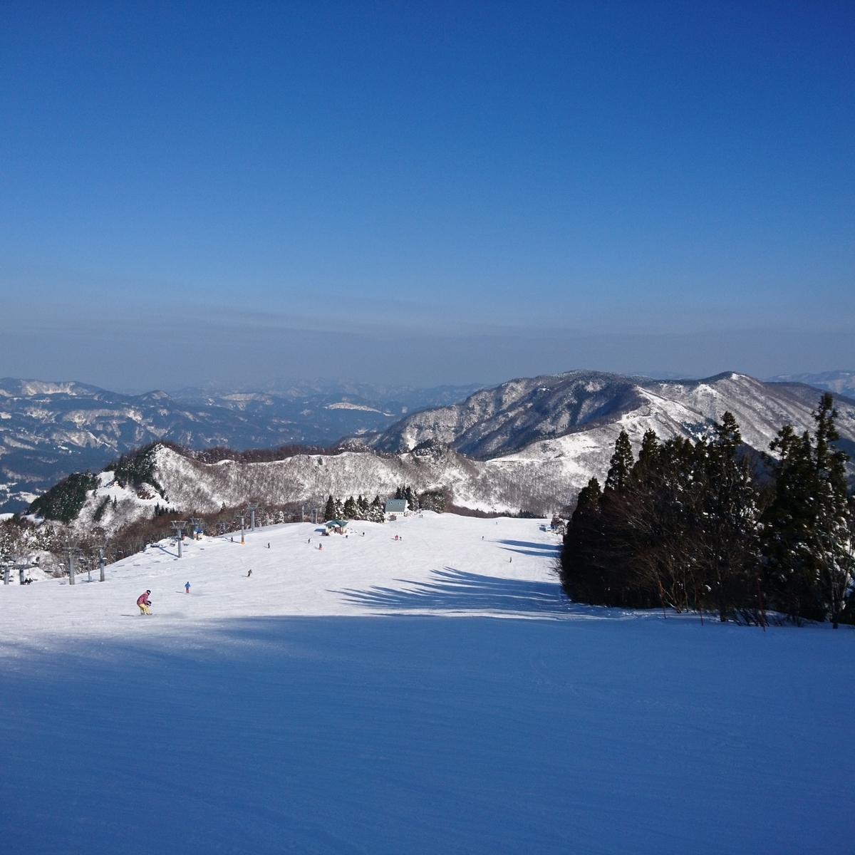 f:id:S_a_k_U:20210611101955j:plain:w300