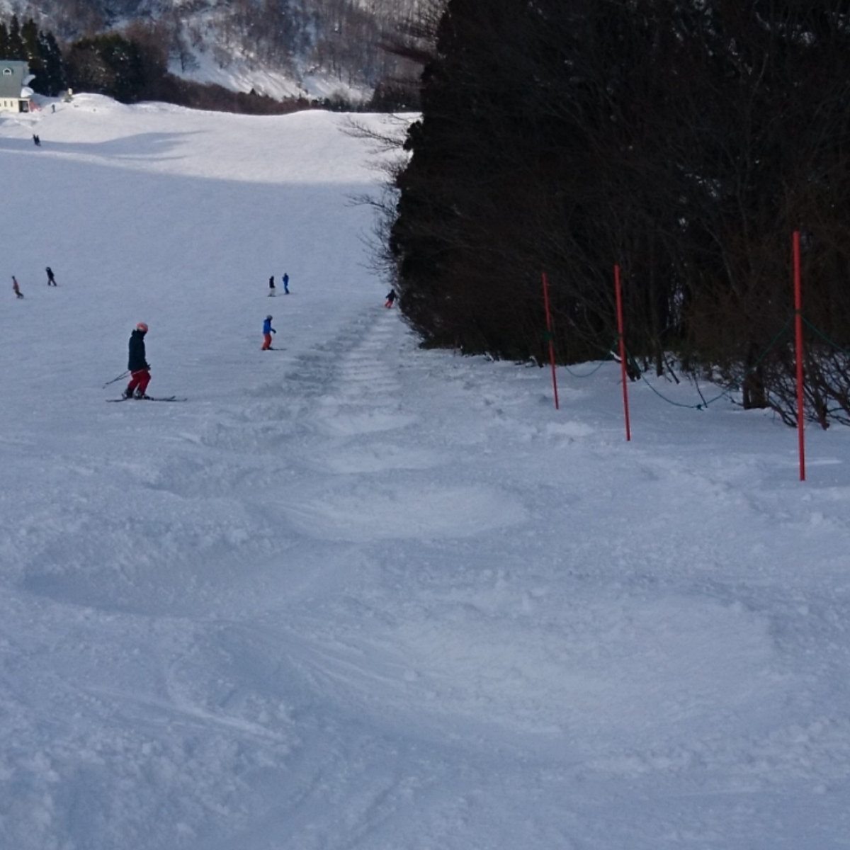 f:id:S_a_k_U:20210611102010j:plain:w300