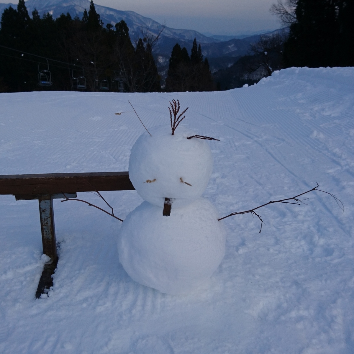 f:id:S_a_k_U:20210611102017j:plain:w300