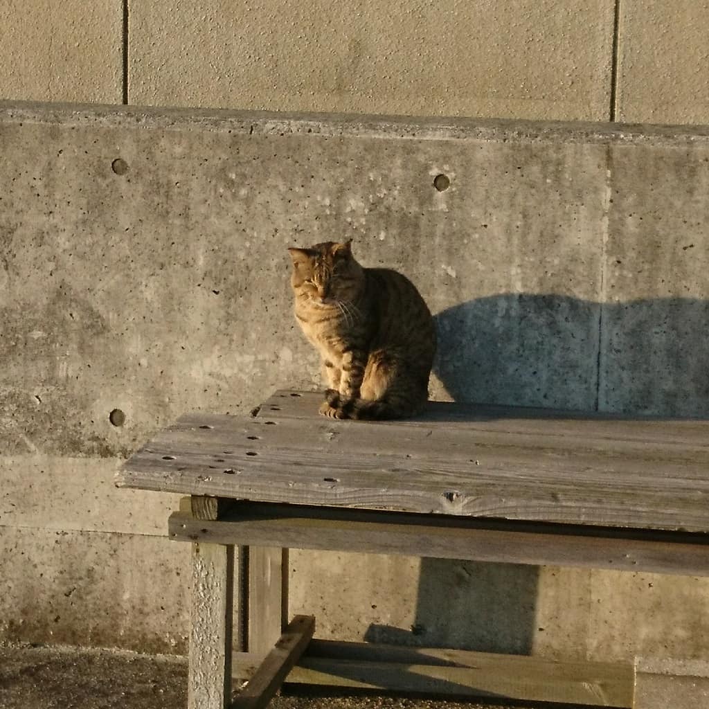 f:id:S_a_k_U:20210612154523j:plain:w300