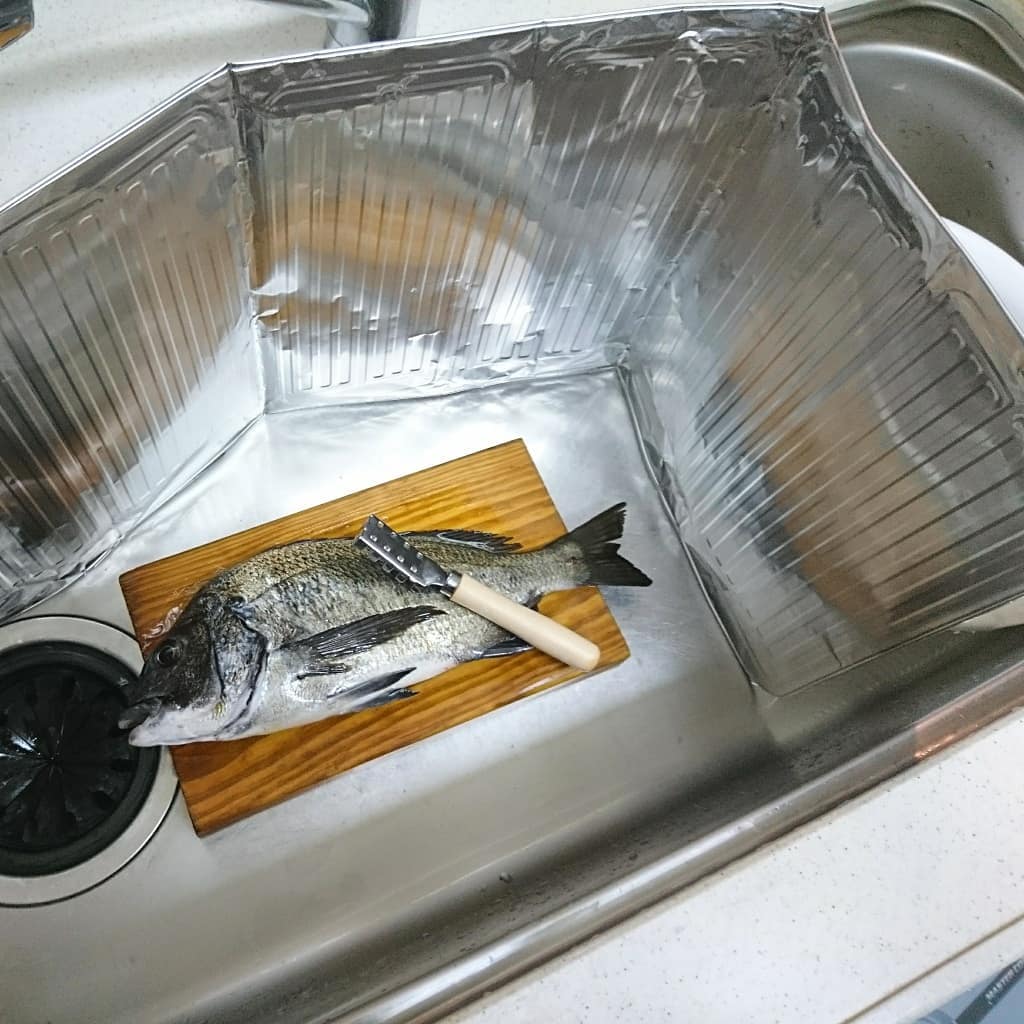 f:id:S_a_k_U:20210615111735j:plain:w300