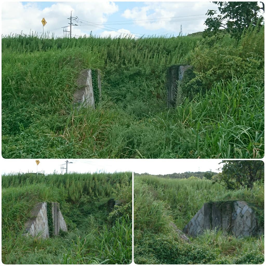 f:id:S_a_k_U:20210628161909j:plain:w300