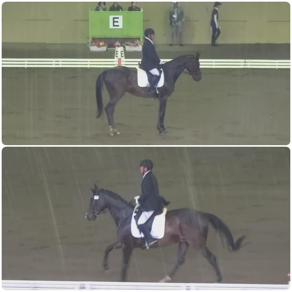 f:id:S_a_k_U:20210629223249j:plain:w300