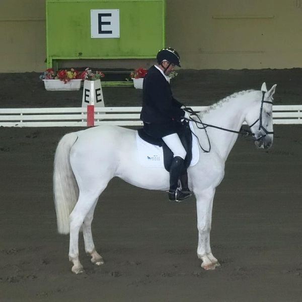 f:id:S_a_k_U:20210629224022j:plain:w300