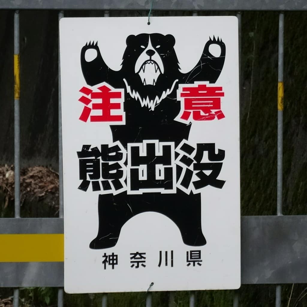 f:id:S_a_k_U:20210629224126j:plain:w300