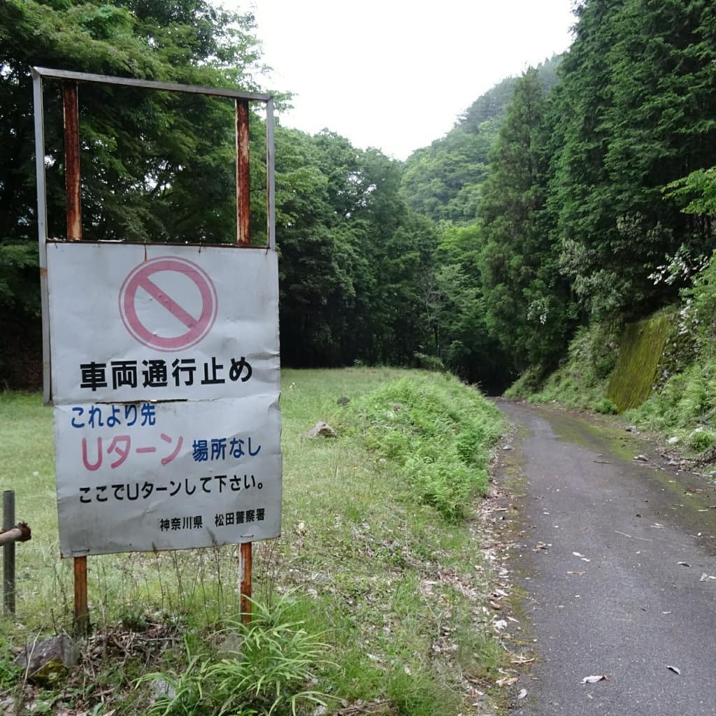 f:id:S_a_k_U:20210629224132j:plain:w300