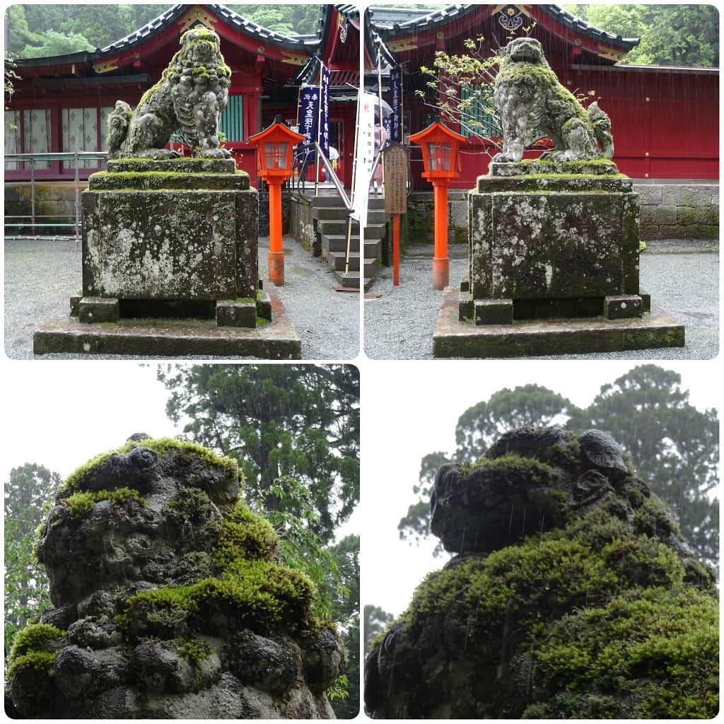 f:id:S_a_k_U:20210629225256j:plain:w300