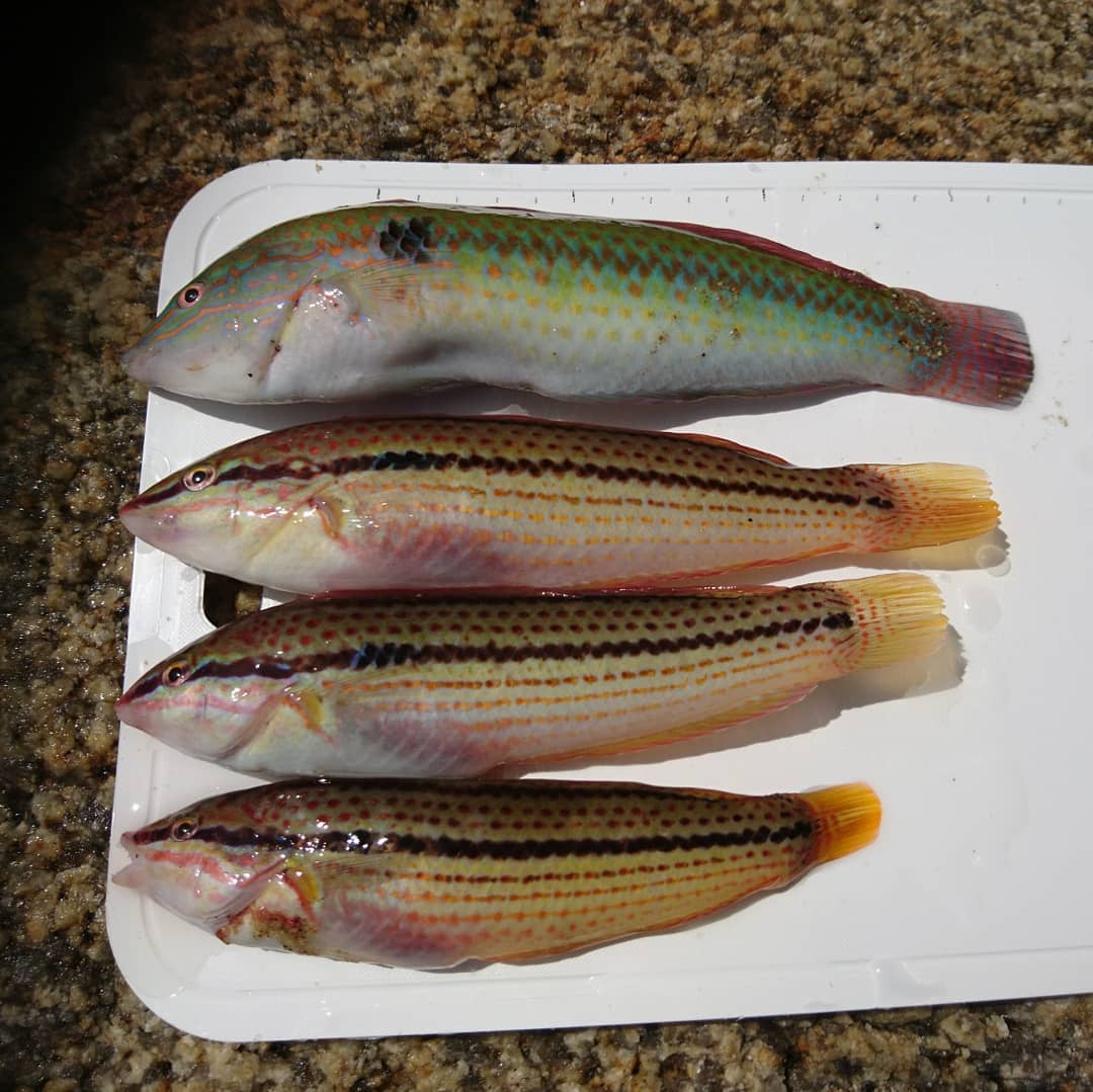 f:id:S_a_k_U:20210706220937j:plain:w300