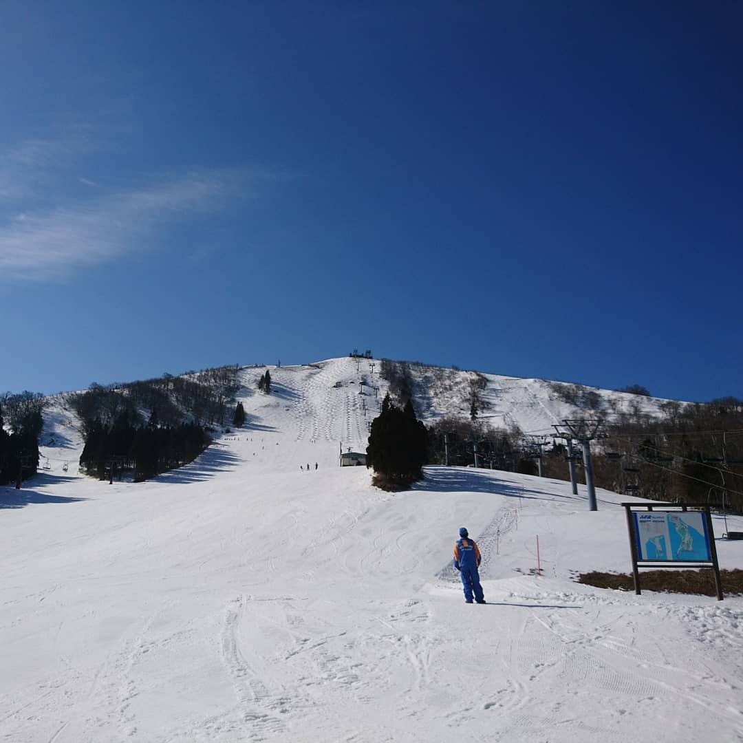 f:id:S_a_k_U:20210706235136j:plain:w300