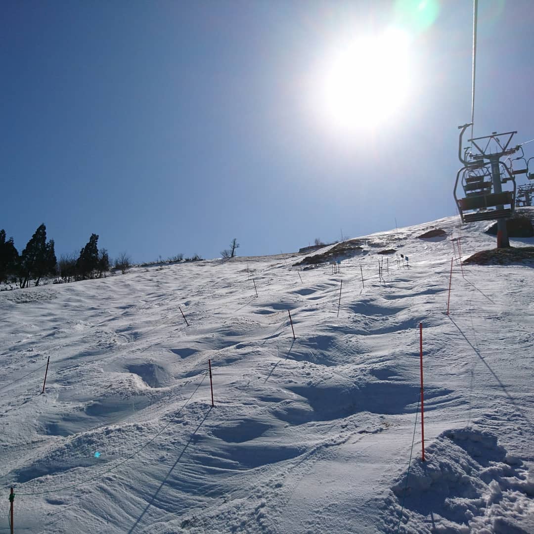 f:id:S_a_k_U:20210706235149j:plain:w300