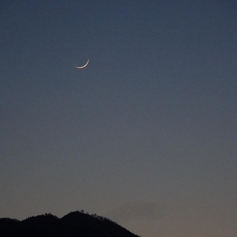 f:id:S_a_k_U:20210707000722j:plain:w300