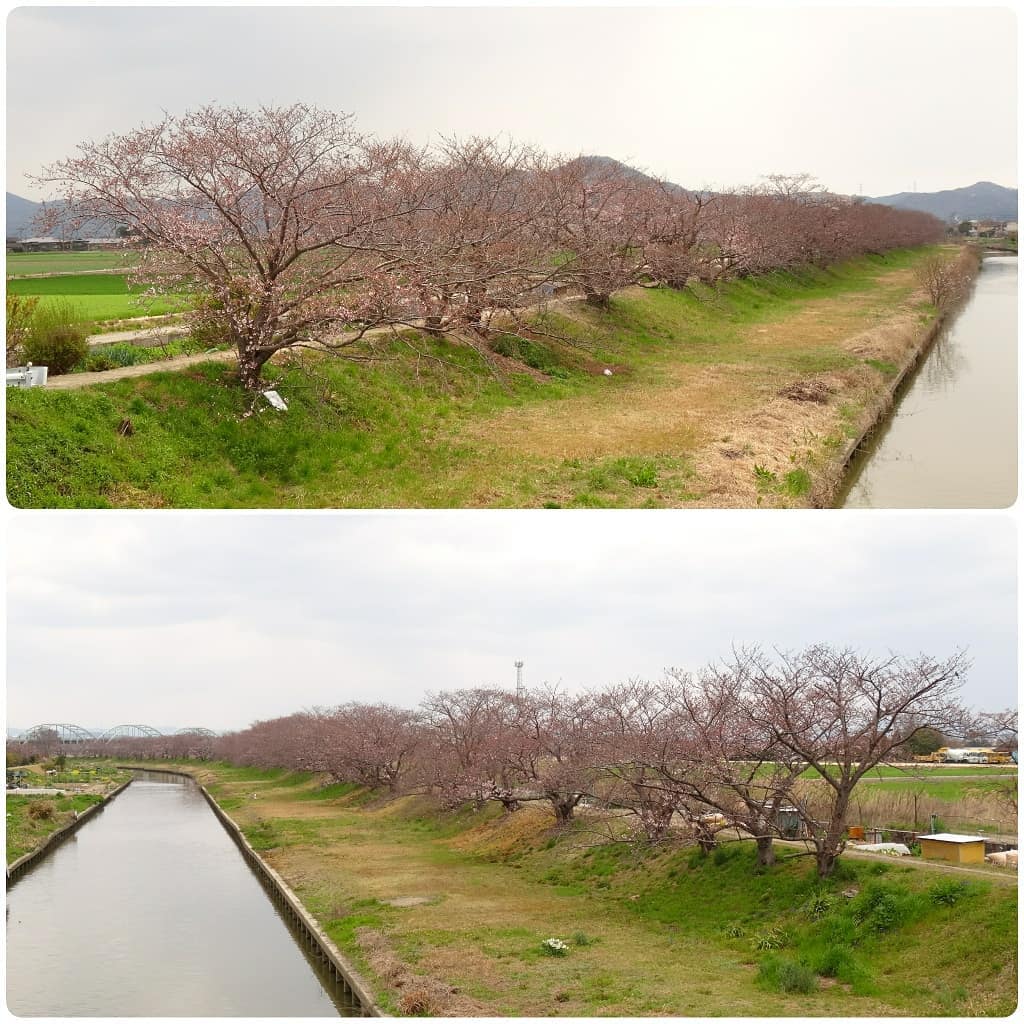 f:id:S_a_k_U:20210707031112j:plain:w300