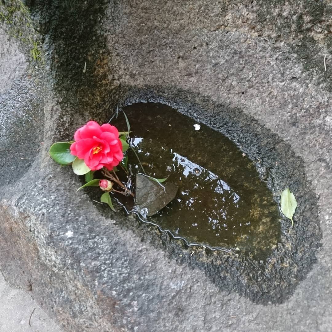 f:id:S_a_k_U:20210707031126j:plain:w300