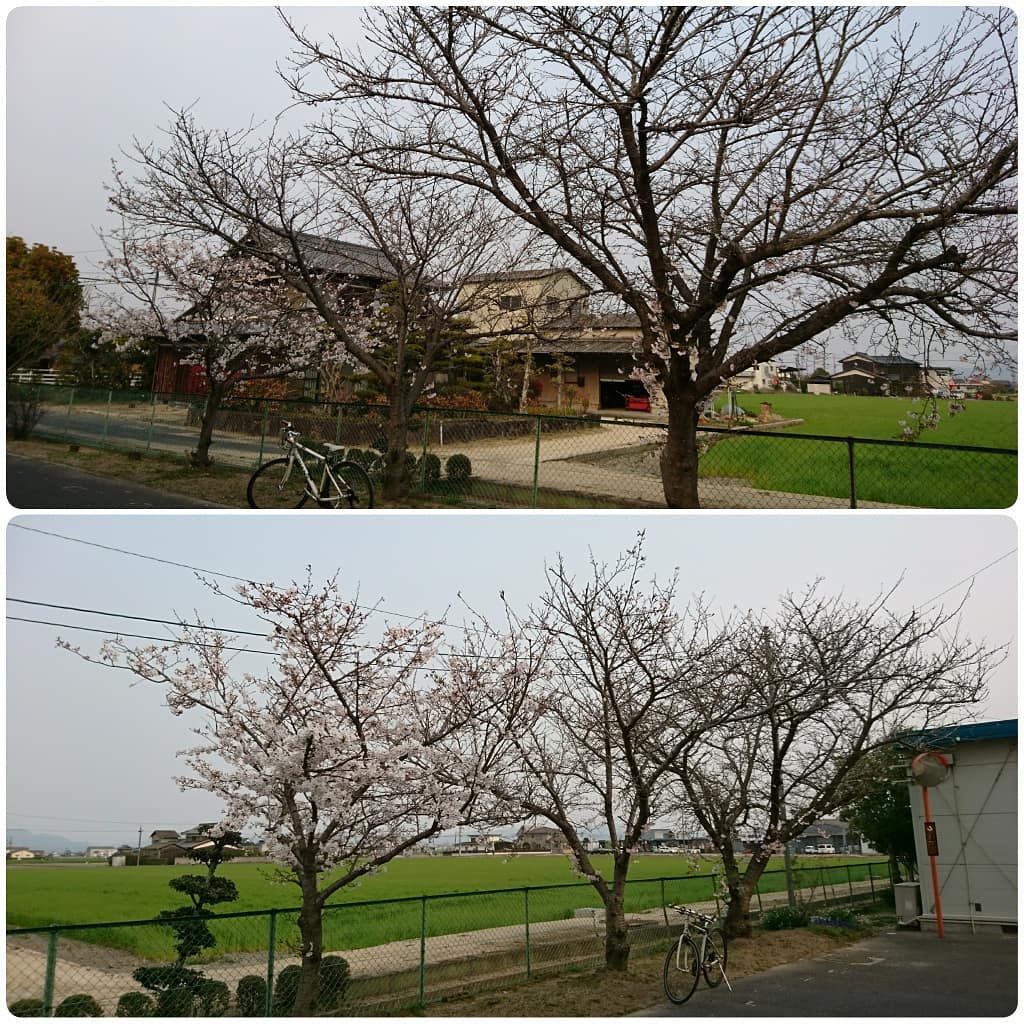 f:id:S_a_k_U:20210707034656j:plain:w300