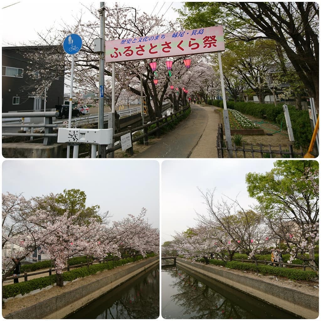 f:id:S_a_k_U:20210707034702j:plain:w300