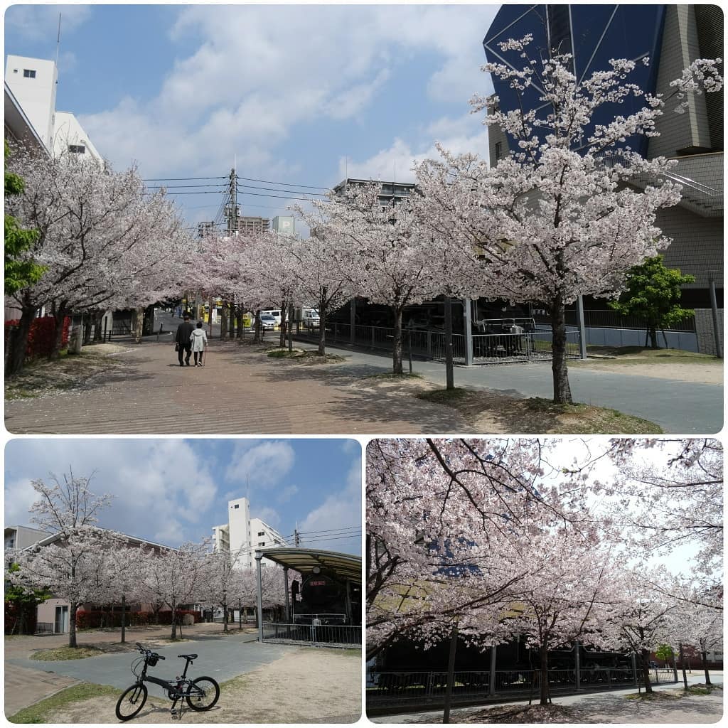 f:id:S_a_k_U:20210707035843j:plain:w300