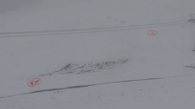 f:id:S_a_k_U:20210707040733j:plain:w300