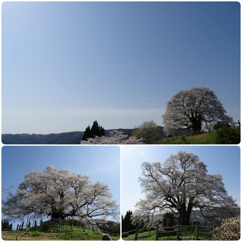 f:id:S_a_k_U:20210707051405j:plain:w300