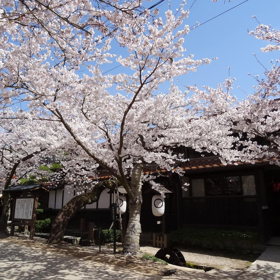 f:id:S_a_k_U:20210707051415j:plain:w300