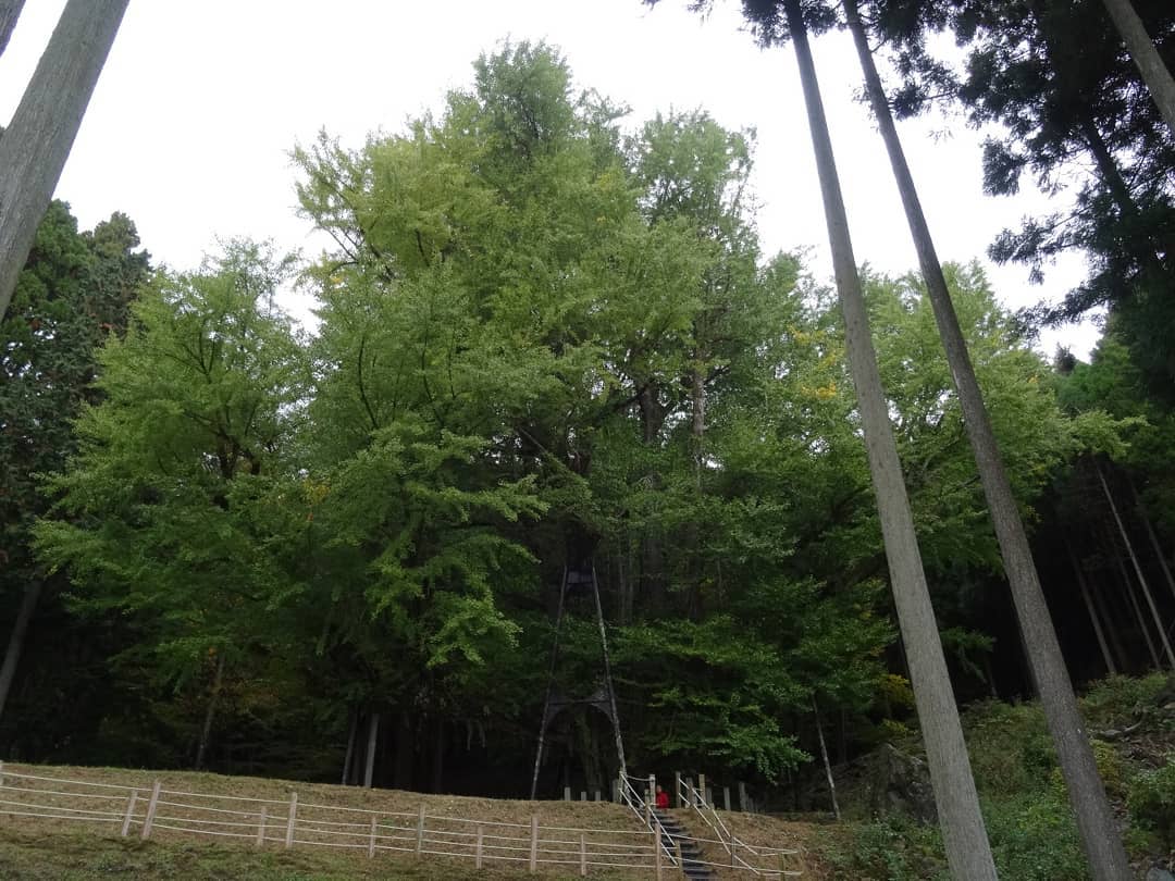 f:id:S_a_k_U:20210709082034j:plain:w300