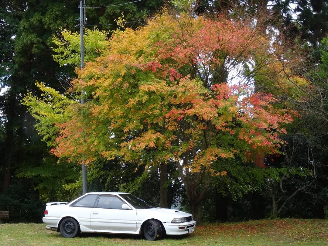 f:id:S_a_k_U:20210709082038j:plain:w300