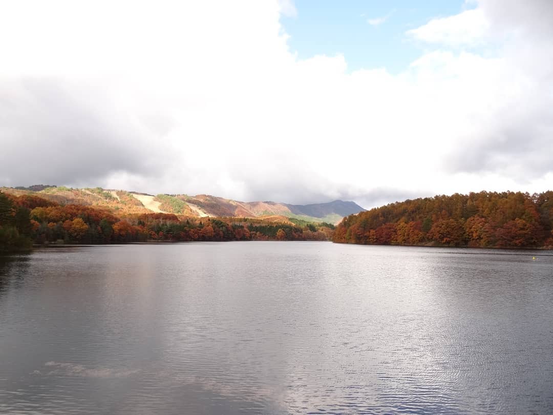 f:id:S_a_k_U:20210709082047j:plain:w300