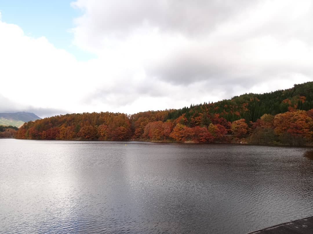 f:id:S_a_k_U:20210709082051j:plain:w300