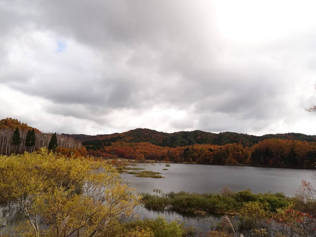 f:id:S_a_k_U:20210709082056j:plain:w300