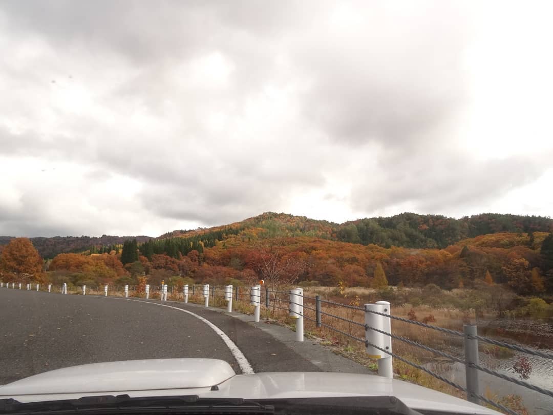 f:id:S_a_k_U:20210709082100j:plain:w300