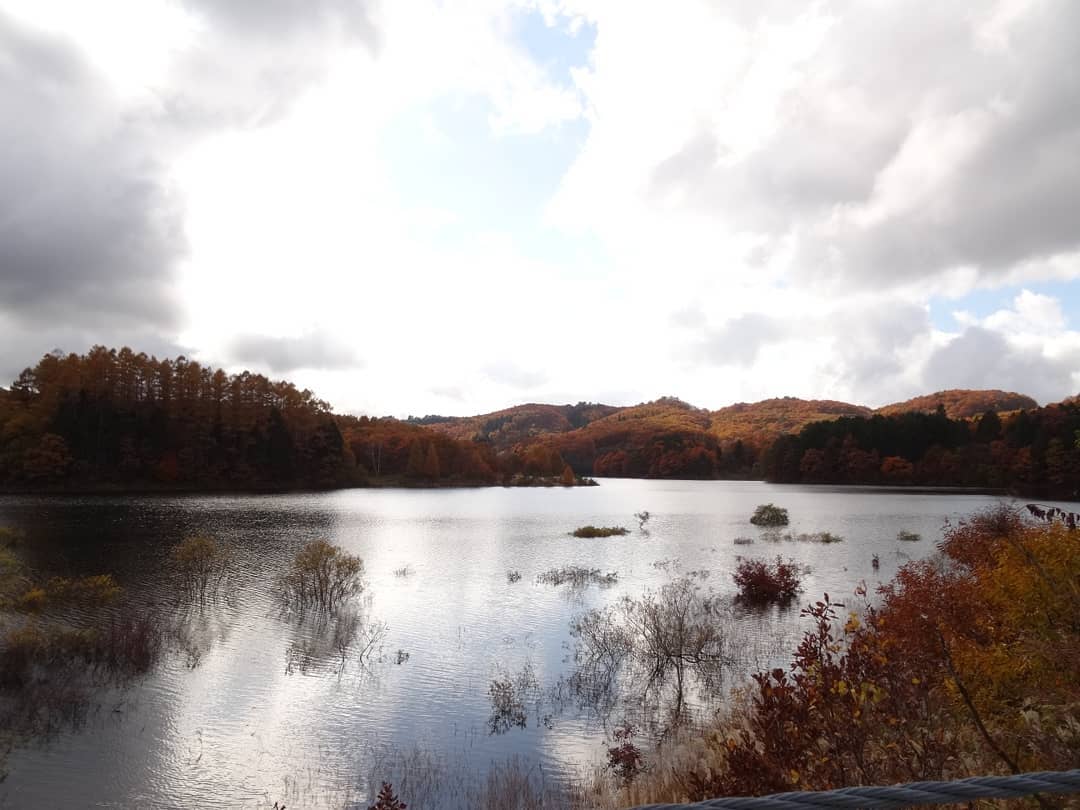 f:id:S_a_k_U:20210709082105j:plain:w300