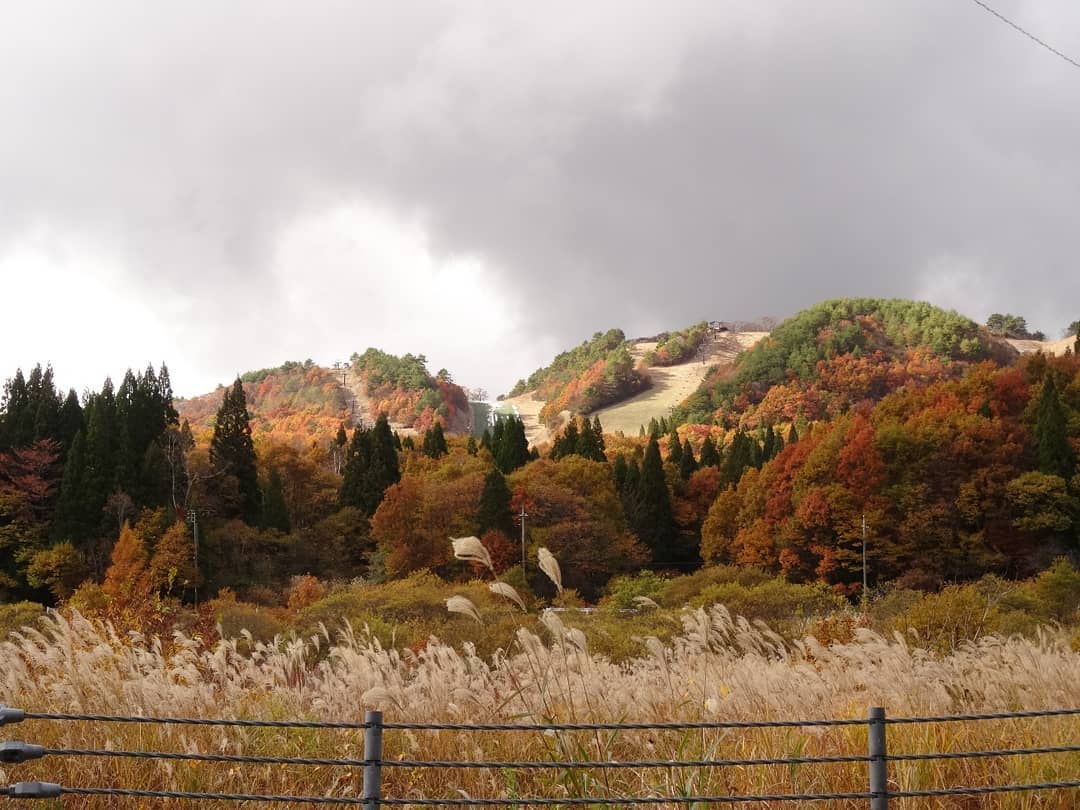 f:id:S_a_k_U:20210709082110j:plain:w300