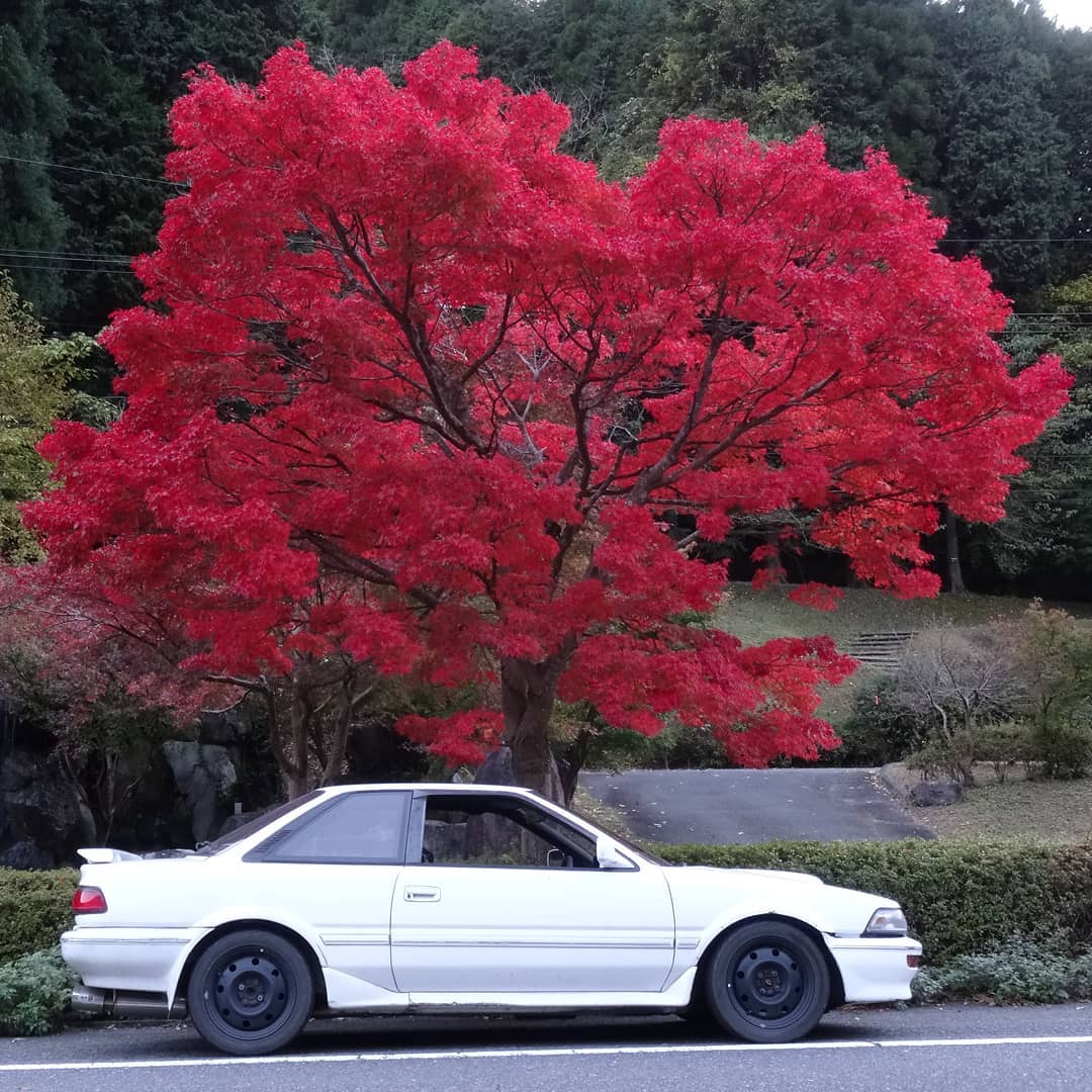 f:id:S_a_k_U:20210709082334j:plain:w300