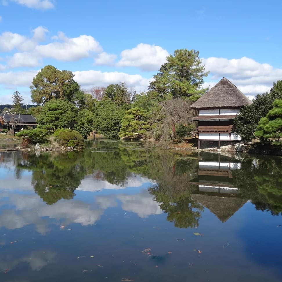 f:id:S_a_k_U:20210709091444j:plain:w300