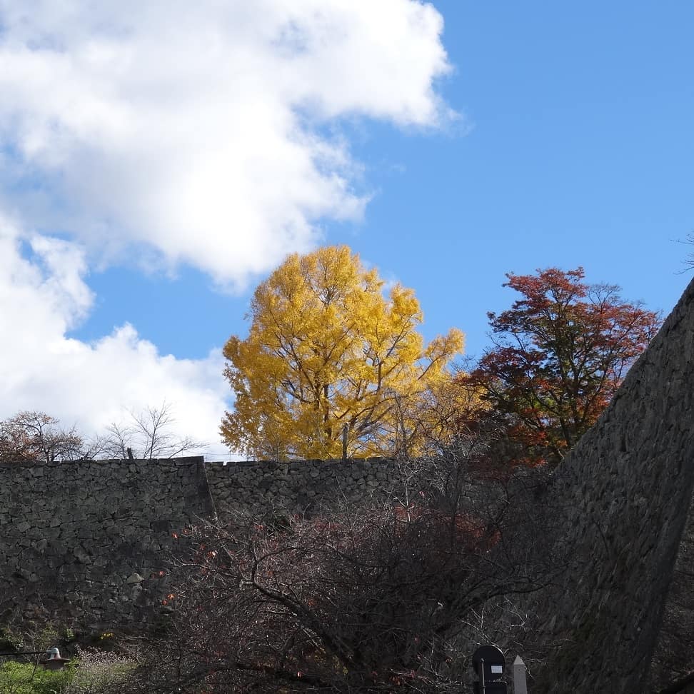 f:id:S_a_k_U:20210709091457j:plain:w300