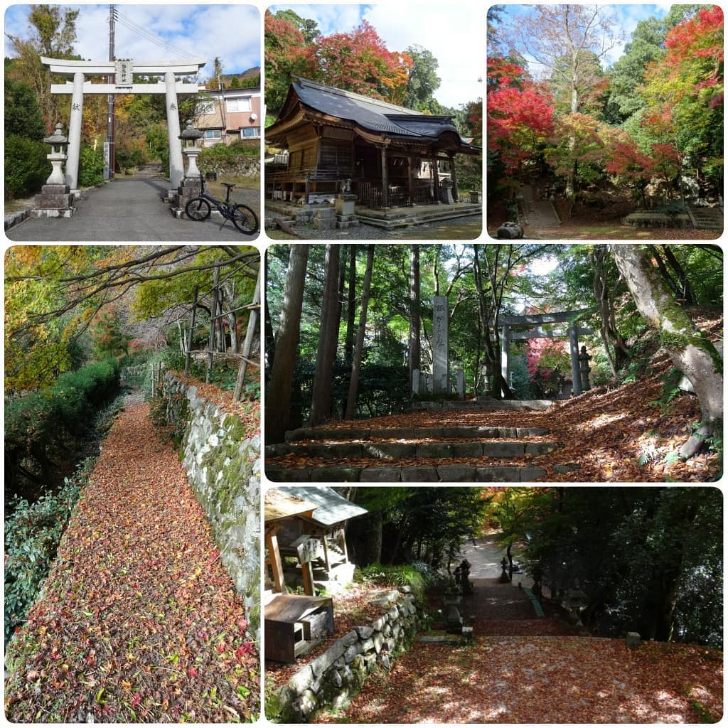 f:id:S_a_k_U:20210709092704j:plain:w300