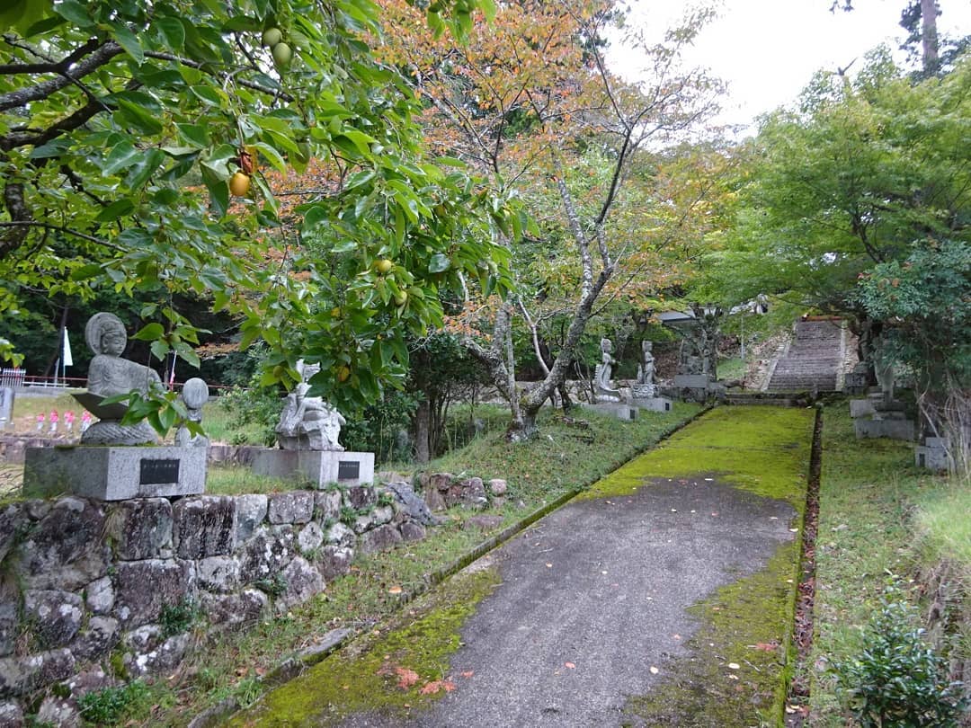 f:id:S_a_k_U:20210709133303j:plain:w300