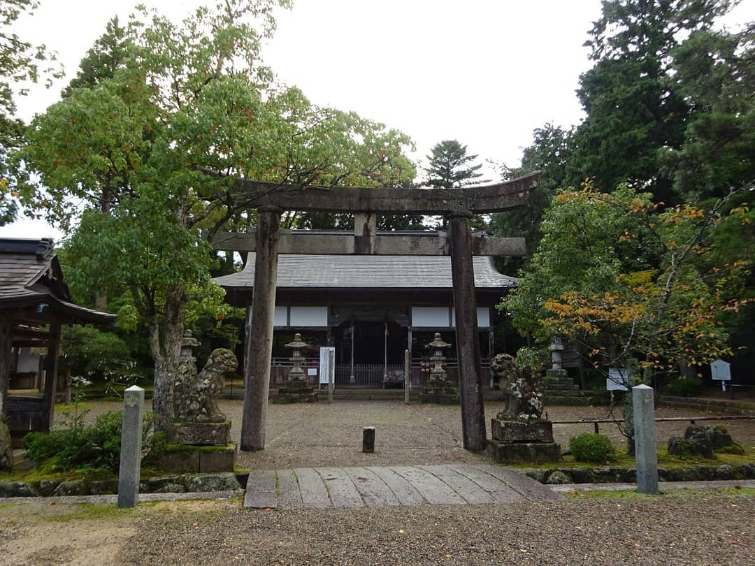 f:id:S_a_k_U:20210709141230j:plain:w300