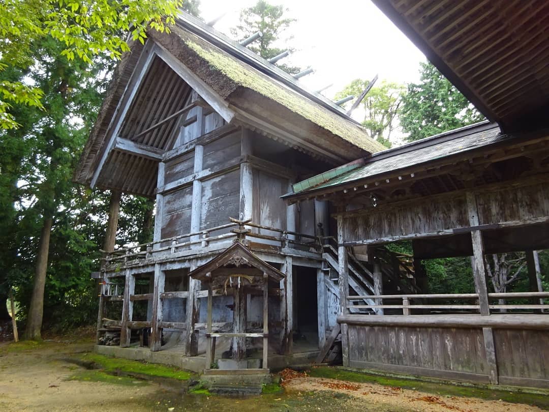 f:id:S_a_k_U:20210709141235j:plain:w300